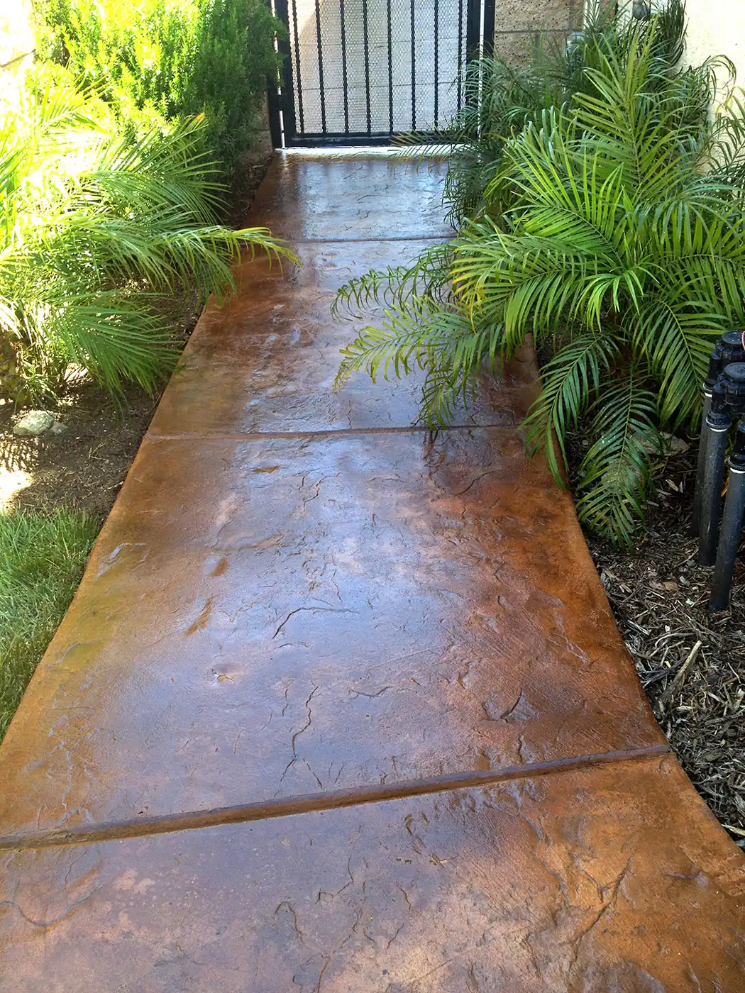Textured stained walkway running between tropical planting
