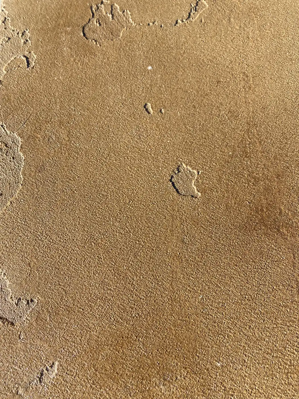 Close view of a knockdown texture in a gold microtopping