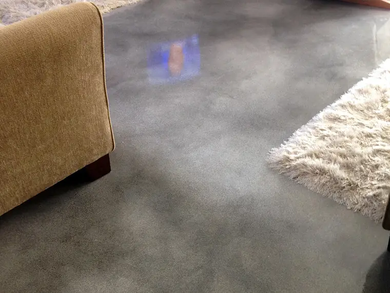 Gray stained concrete living room floor with a cream rug